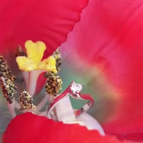 460394456_2374506152899923_3203557194562699888_n